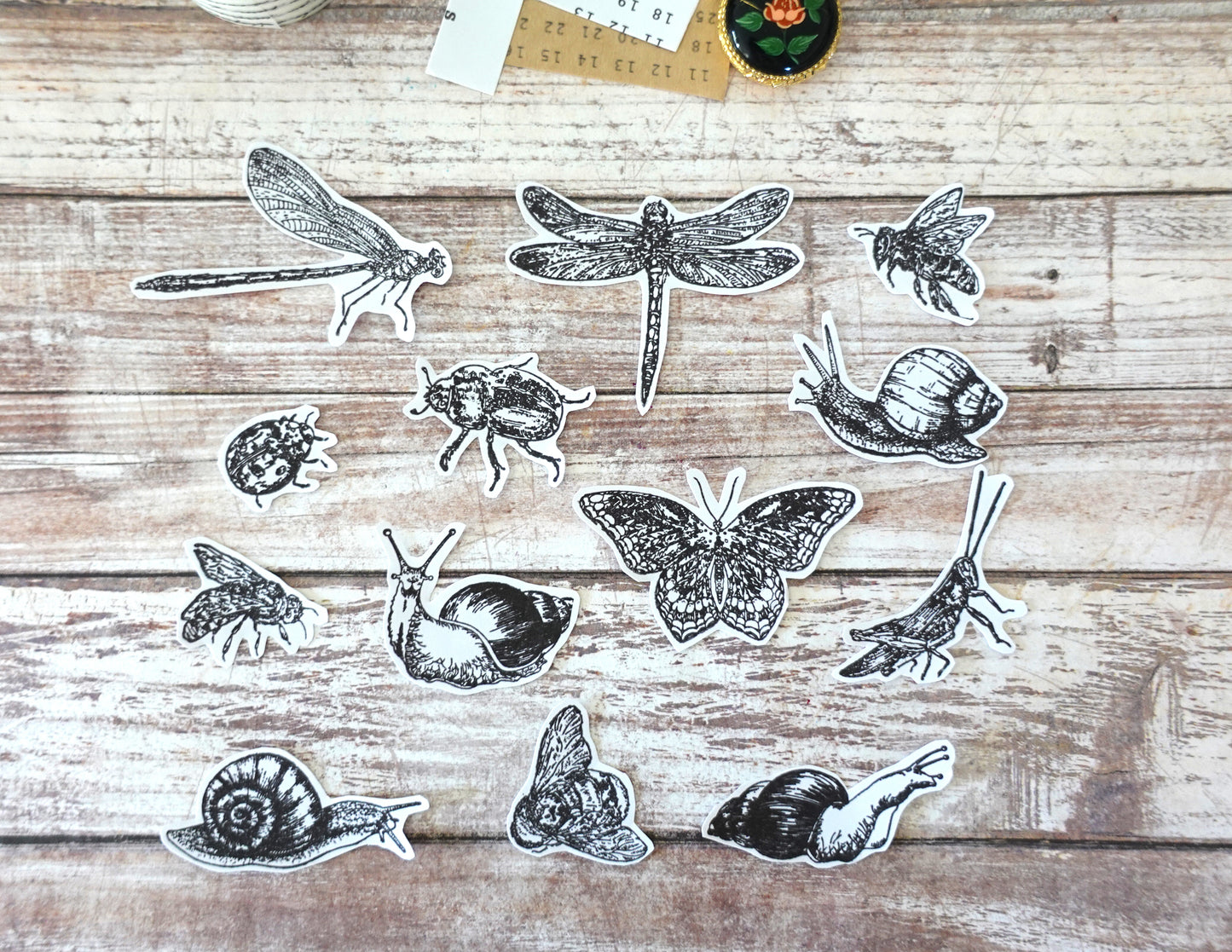 13 Insects Die-Cut stickers