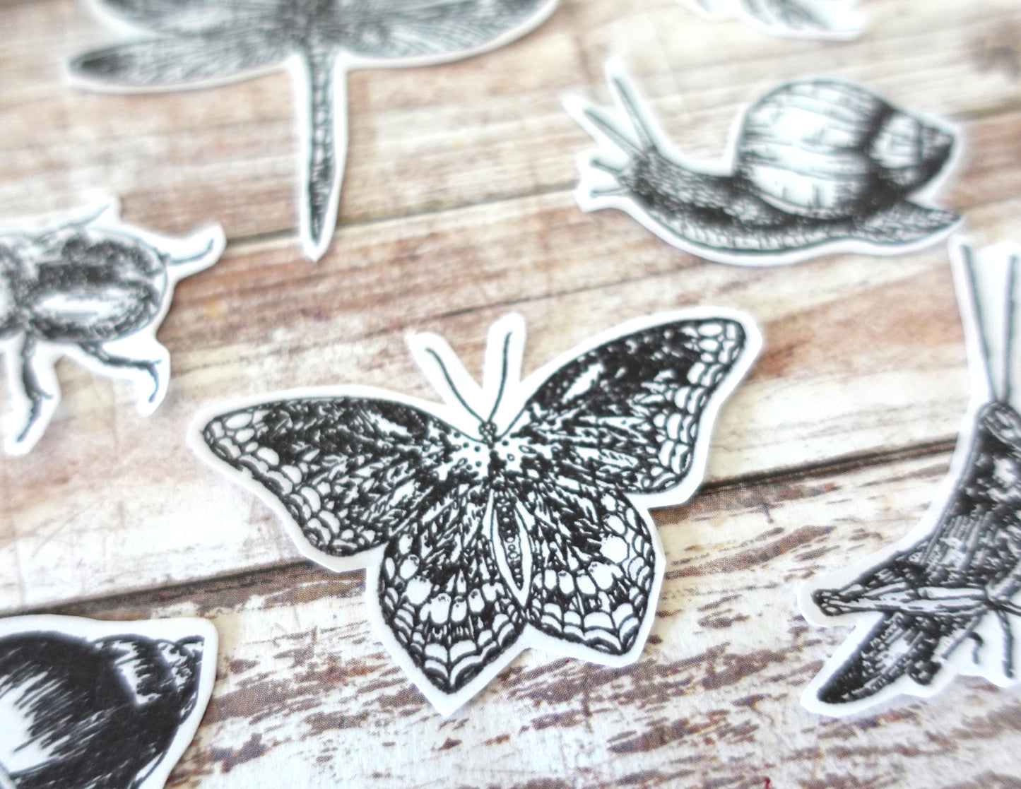 13 Insects Die-Cut stickers