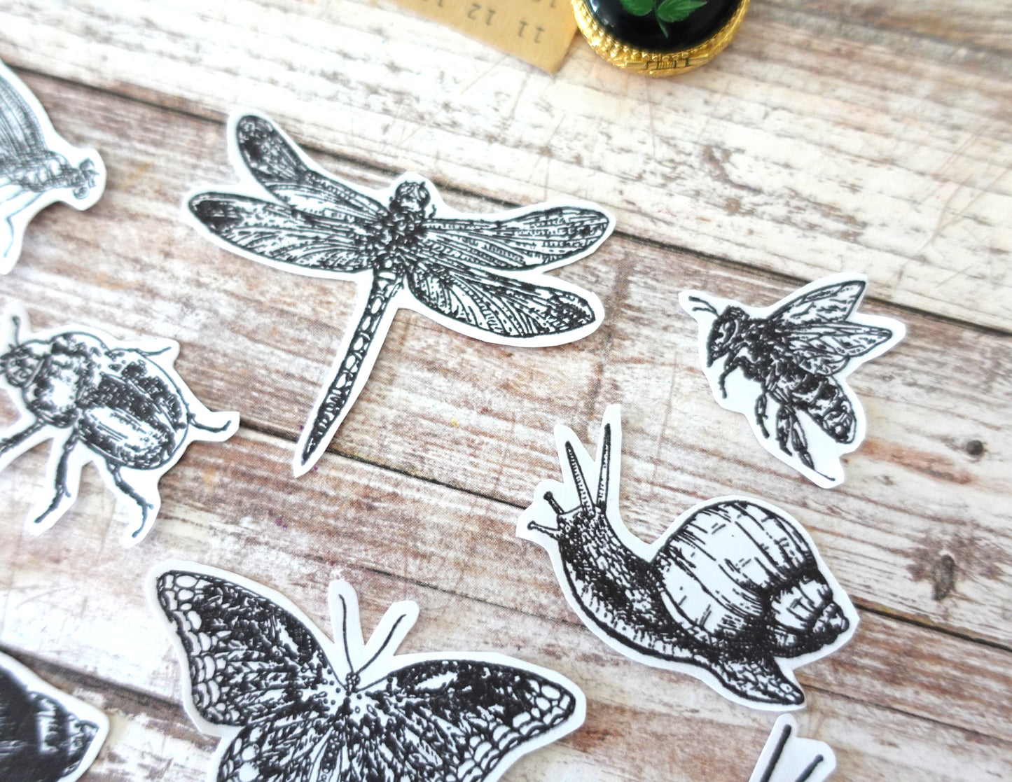 13 Insects Die-Cut stickers