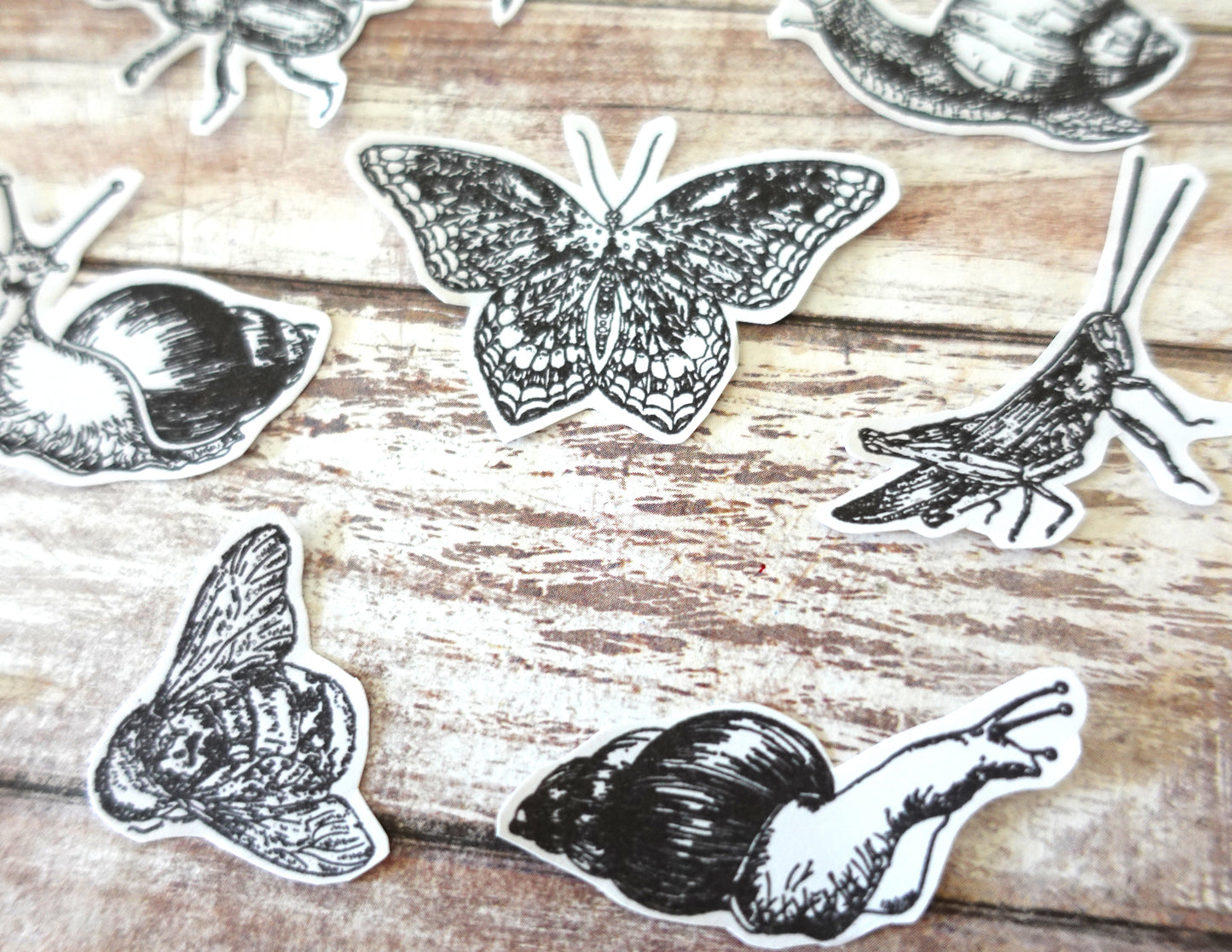 13 Insects Die-Cut stickers