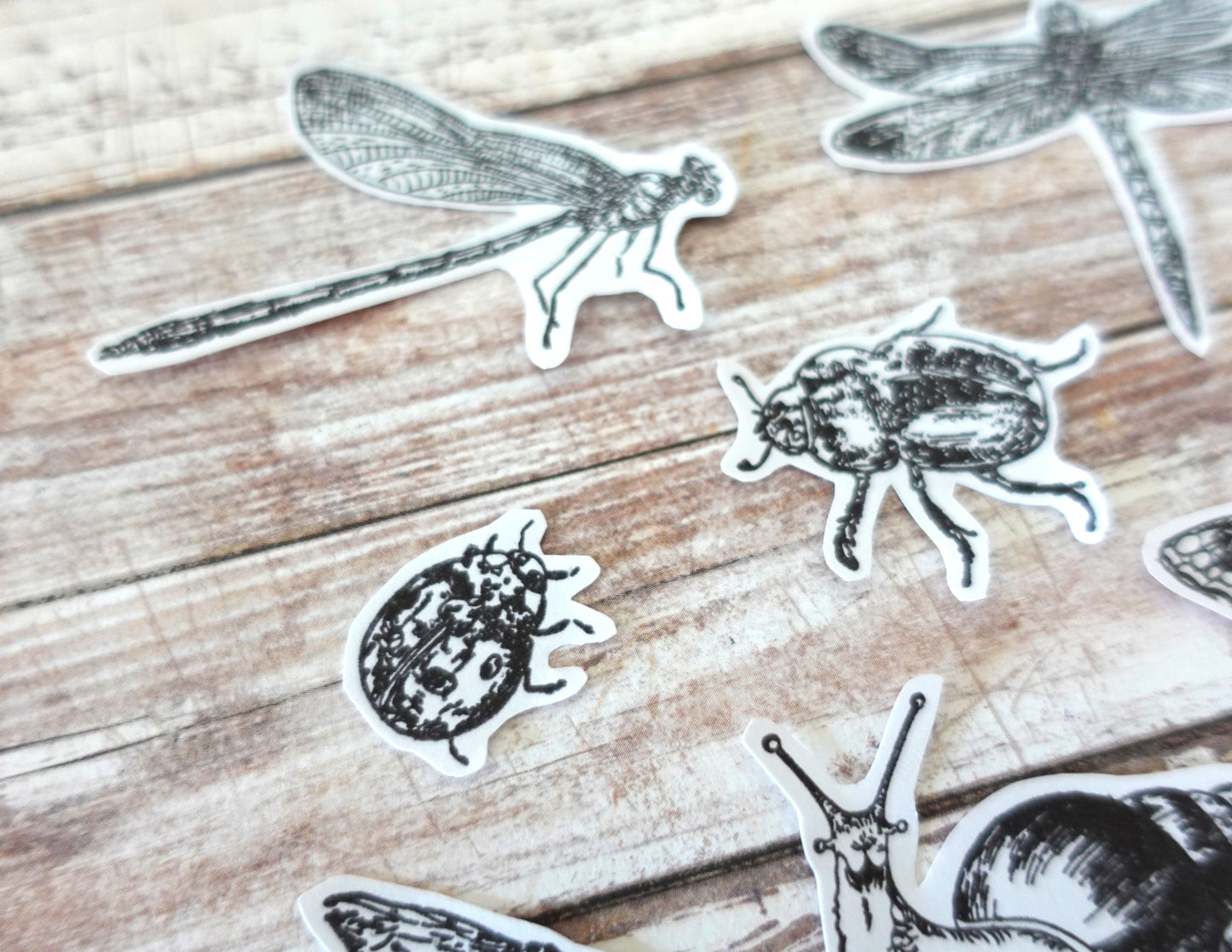 13 Insects Die-Cut stickers