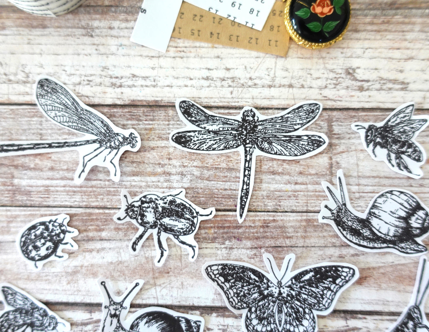 13 Insects Die-Cut stickers