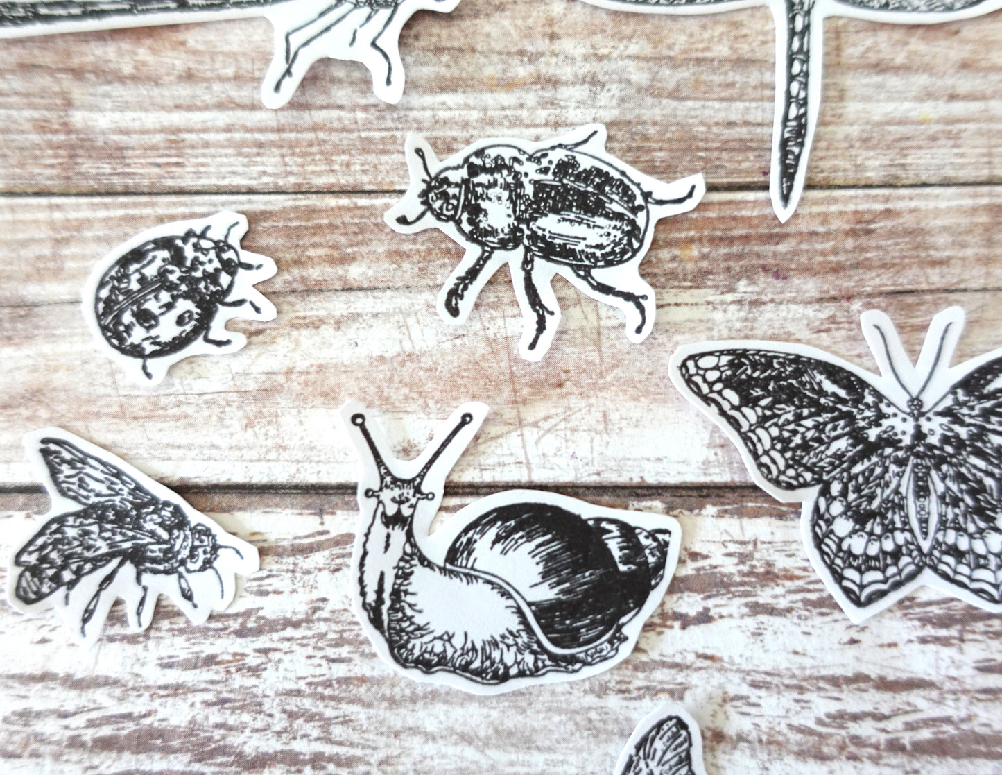 13 Insects Die-Cut stickers