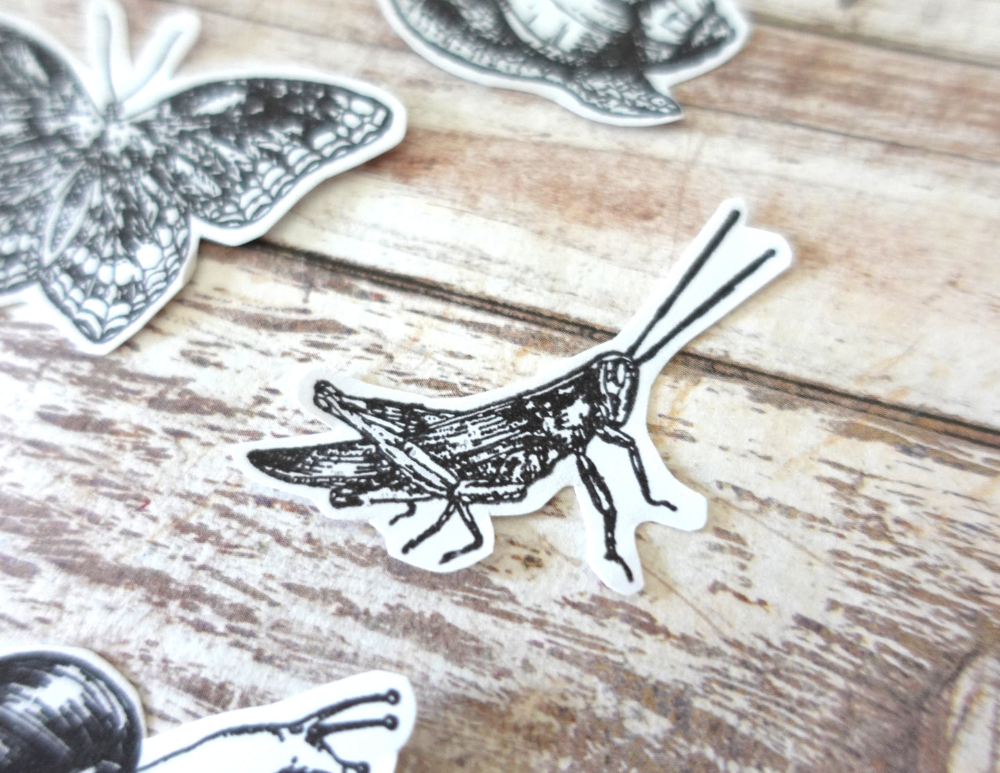 13 Insects Die-Cut stickers