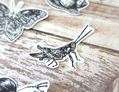 13 Insects Die-Cut stickers