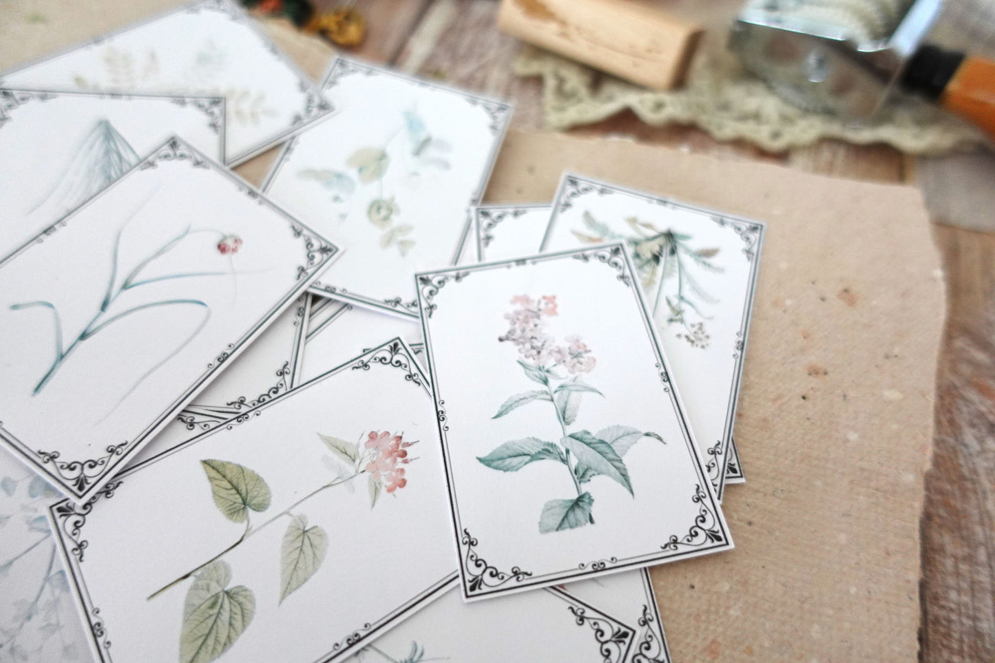 Vintage Botanicals Ephemera Cards