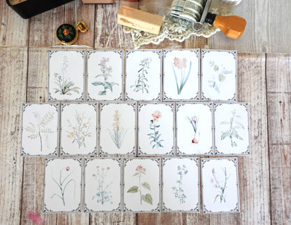 Vintage Botanicals Ephemera Cards