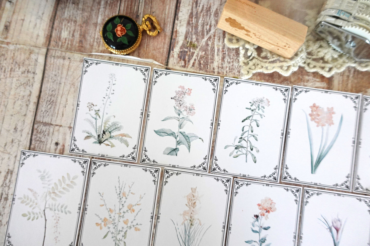 Vintage Botanicals Ephemera Cards