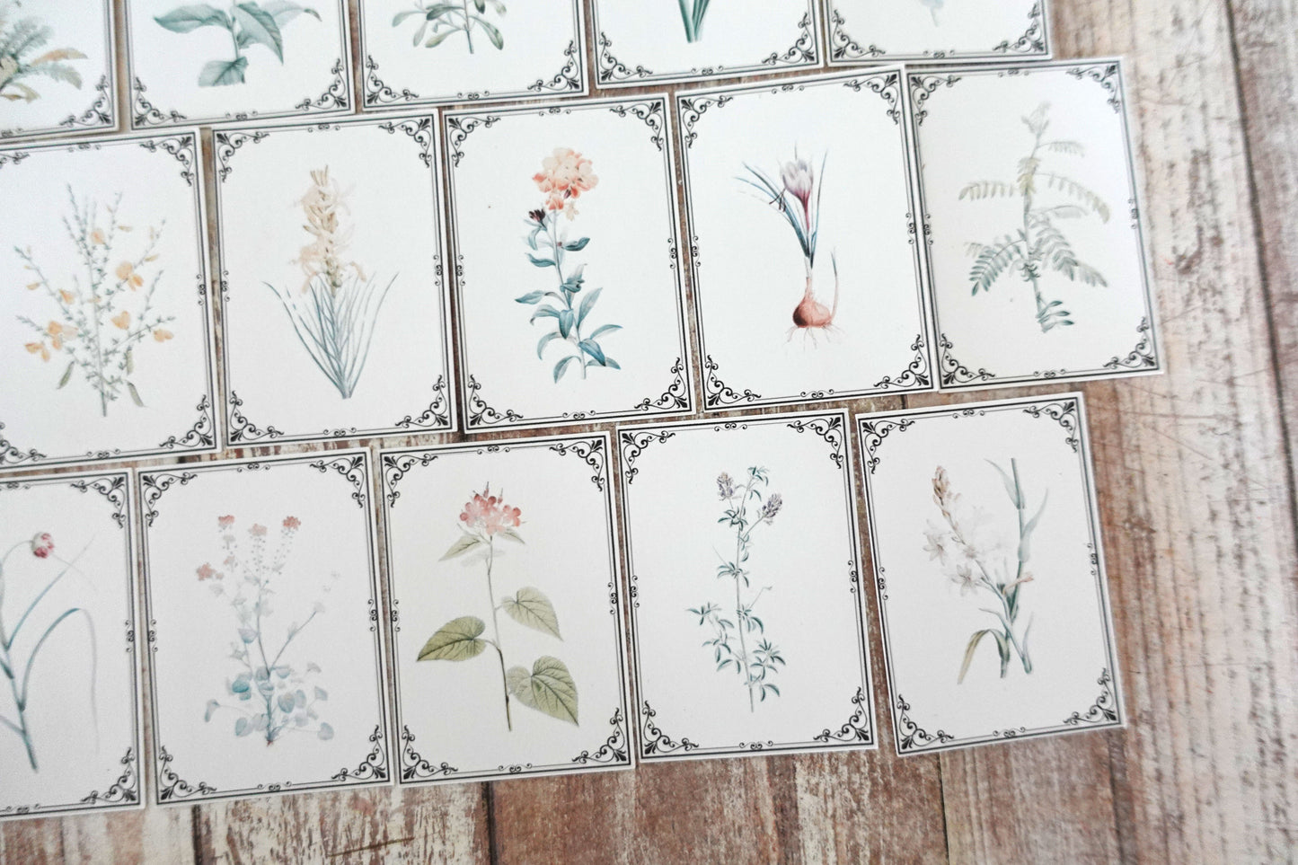 Vintage Botanicals Ephemera Cards