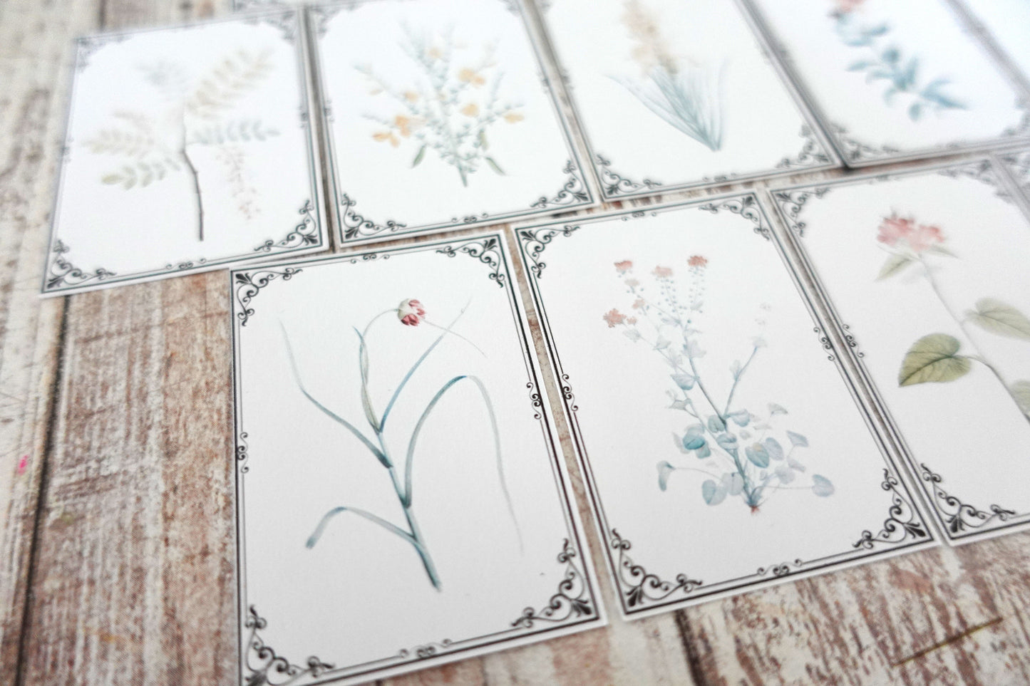 Vintage Botanicals Ephemera Cards