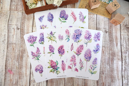 Watercolor Lilac Sticker Sheets