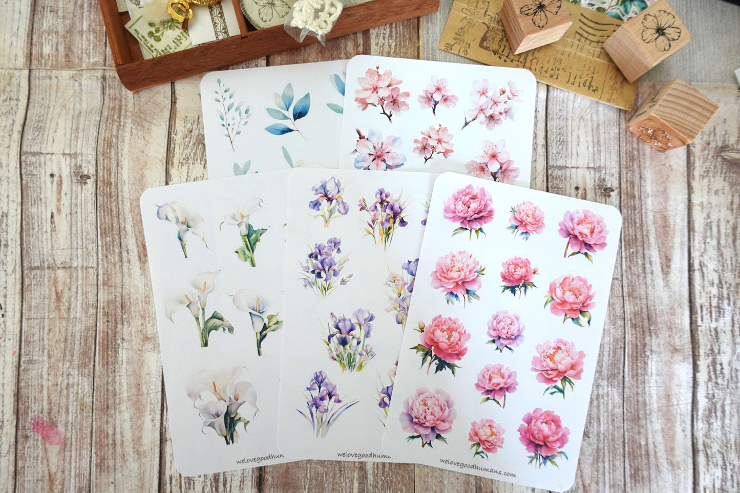 Floral Sticker Sheets Bundle