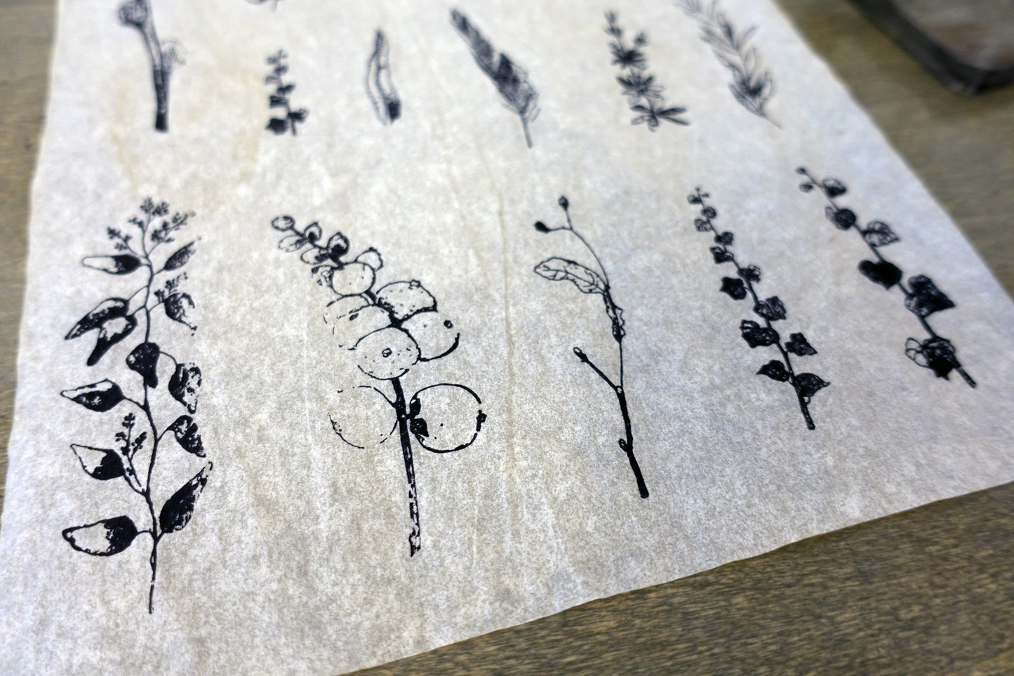 Handmade Tea-dyed Vintage Botanical Ephemera - 24 pieces Pack