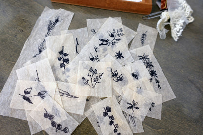 Handmade Tea-dyed Vintage Botanical Ephemera - 24 pieces Pack